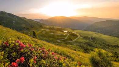 10 prachtvolle Sommerziele in Kärnten » 2 10 prachtvolle Sommerziele in Kärnten Nockalmstrasse